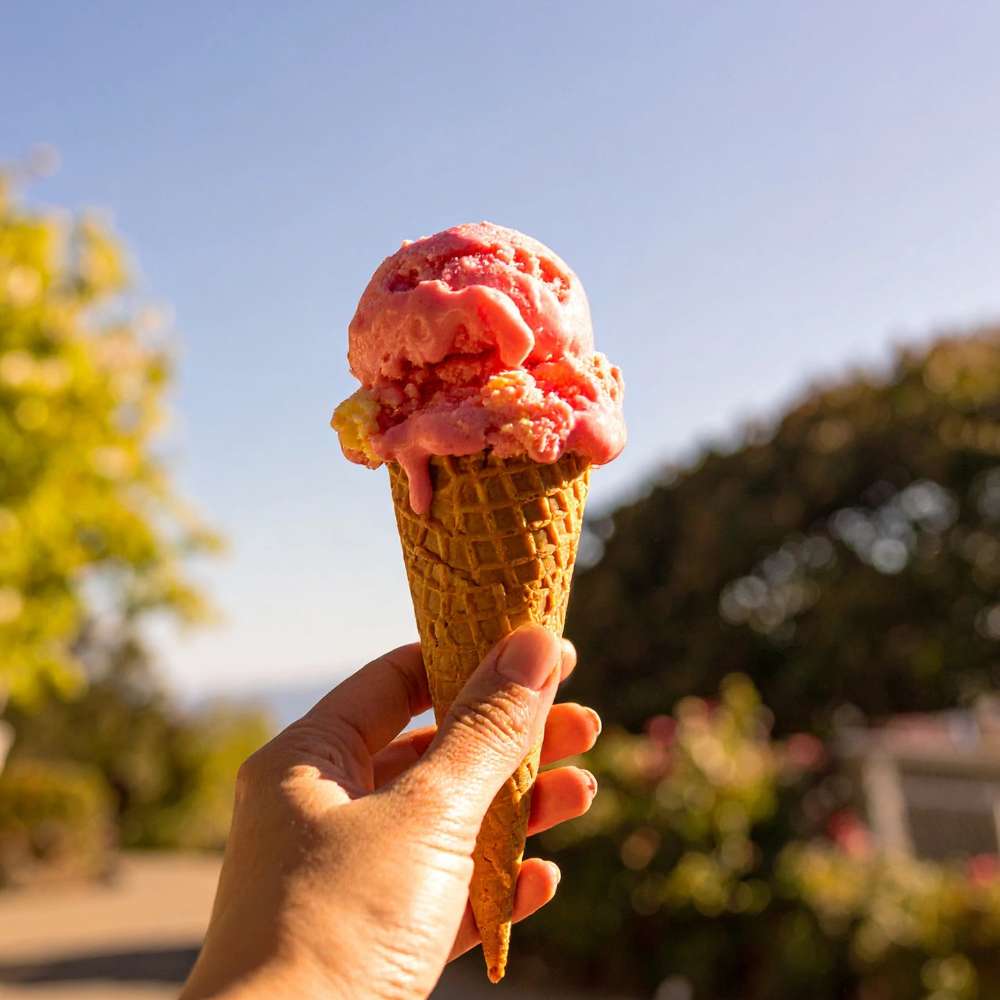 st-joseph-gallery-4-compress-compressed